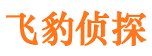 蝶山市私家侦探